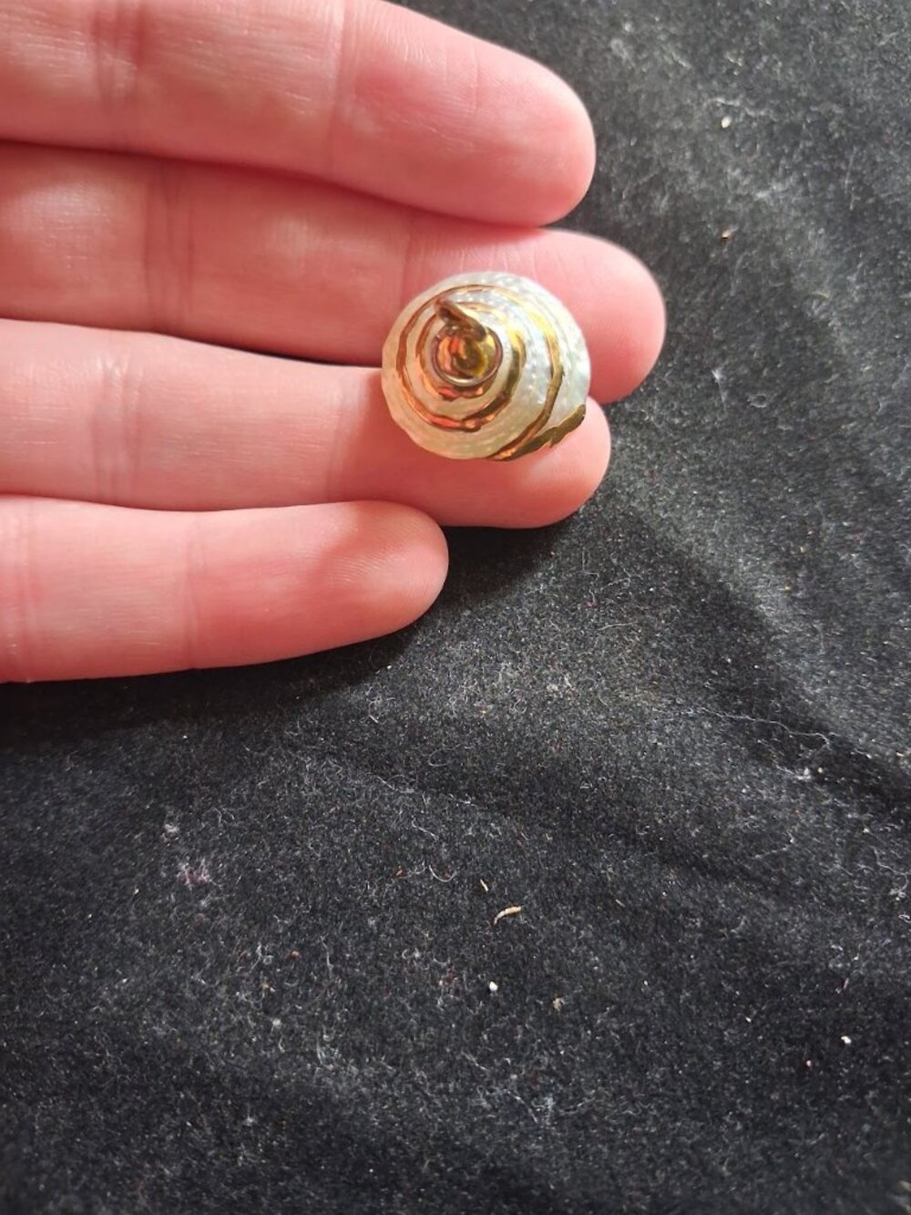 Small Spiral shell pendant